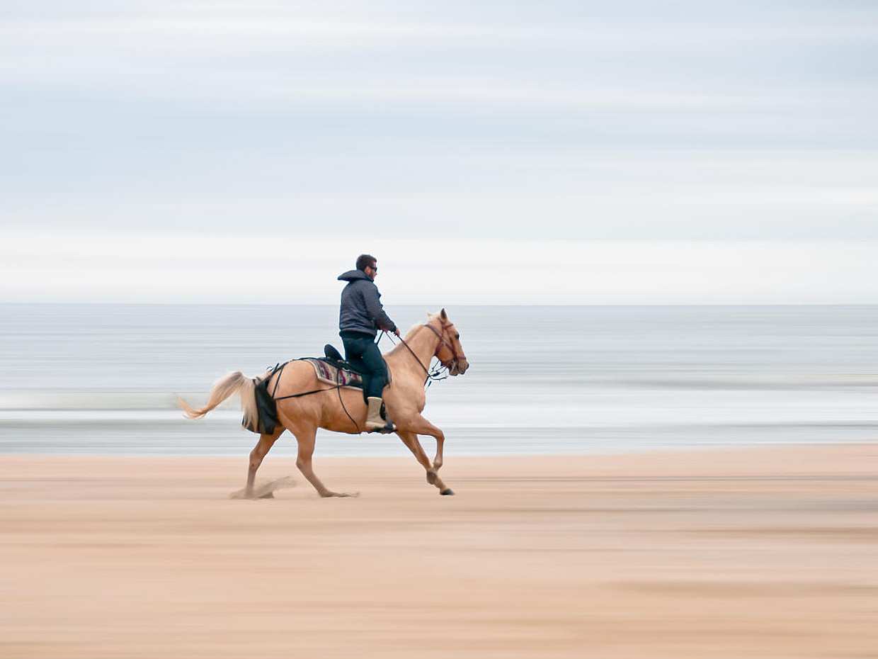 Seaside Horse Riding 30 minutes in Turkey, Istanbul, photo 3