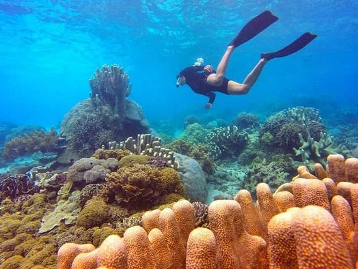 Fantastic Snorkeling - Nha Trang, photo 4