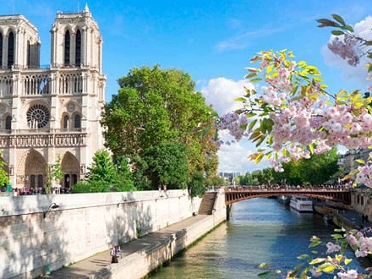 Rouen: Private Shore Excursion to Paris with Panoramic Tour, photo 4