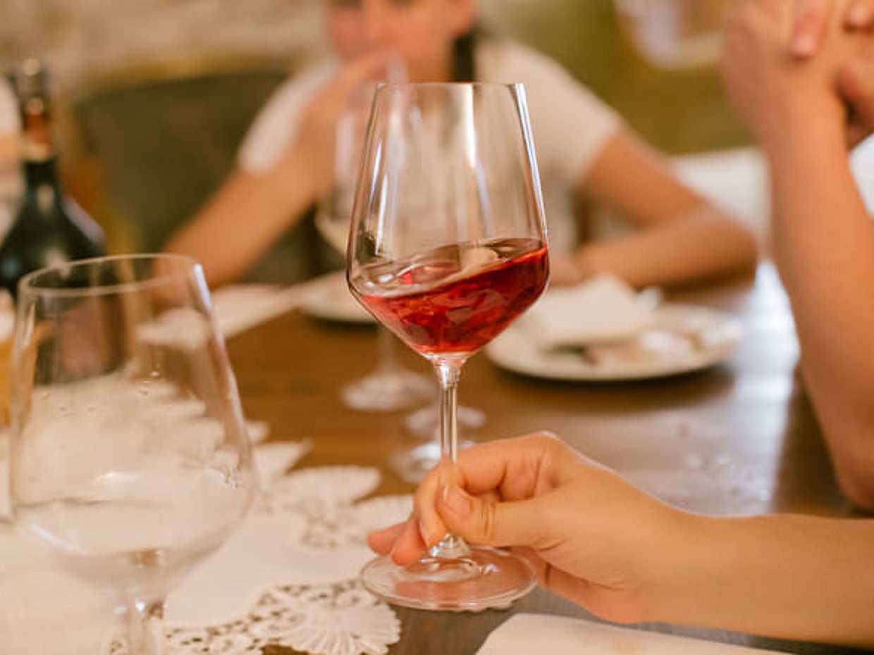 Wine Tasting at Azienda Agricola Viola in Mezzocorona, photo 4
