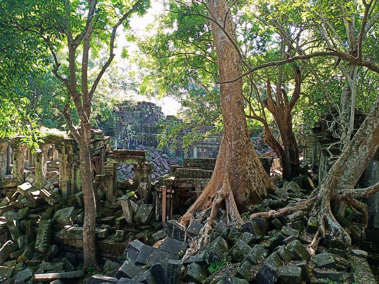 Private One Day Adventure to Beng Mealea and Kompong Khleang in Cambodia, Krong Siem Reap, photo 3