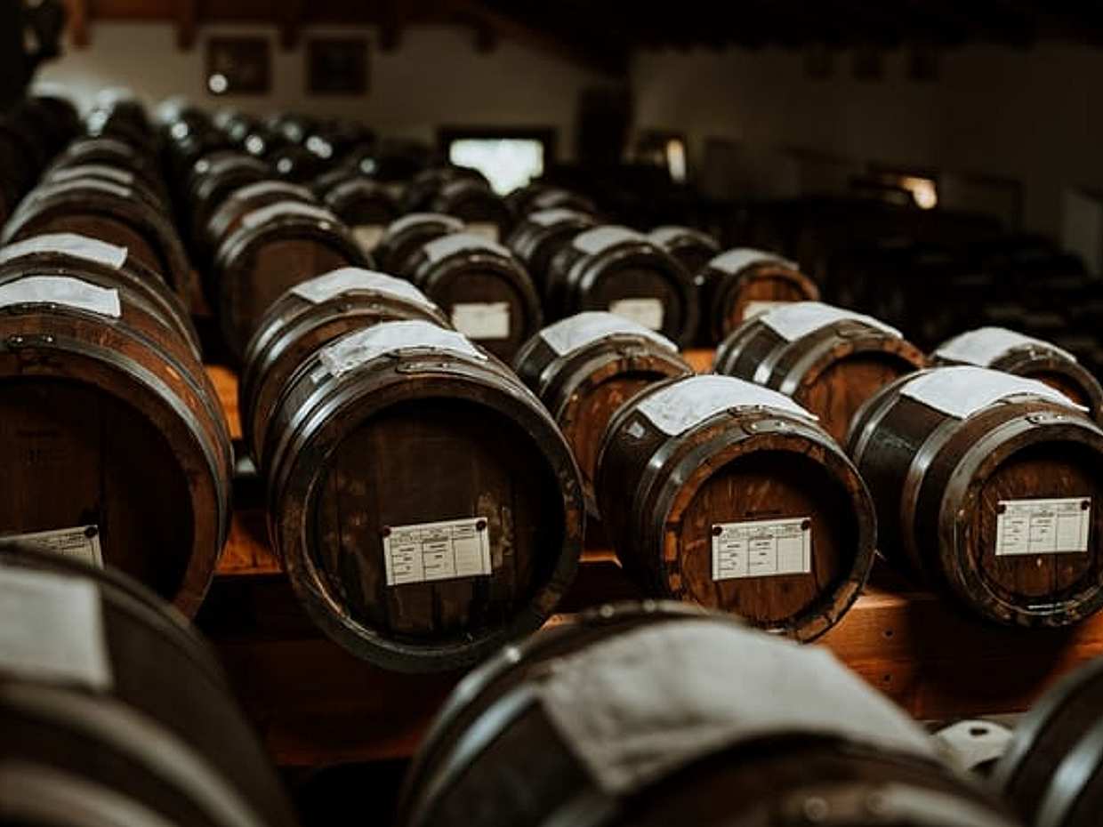 Modena: Tasting of Balsamic Vinegar and Enzo Ferrari Museum (English), photo 5