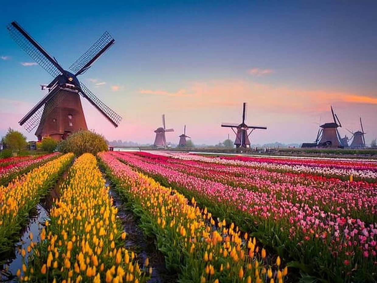 Privétransfer: Amsterdam naar Kinderdijk, 2 uur Stop bij Loevestein in Nederland, photo 3
