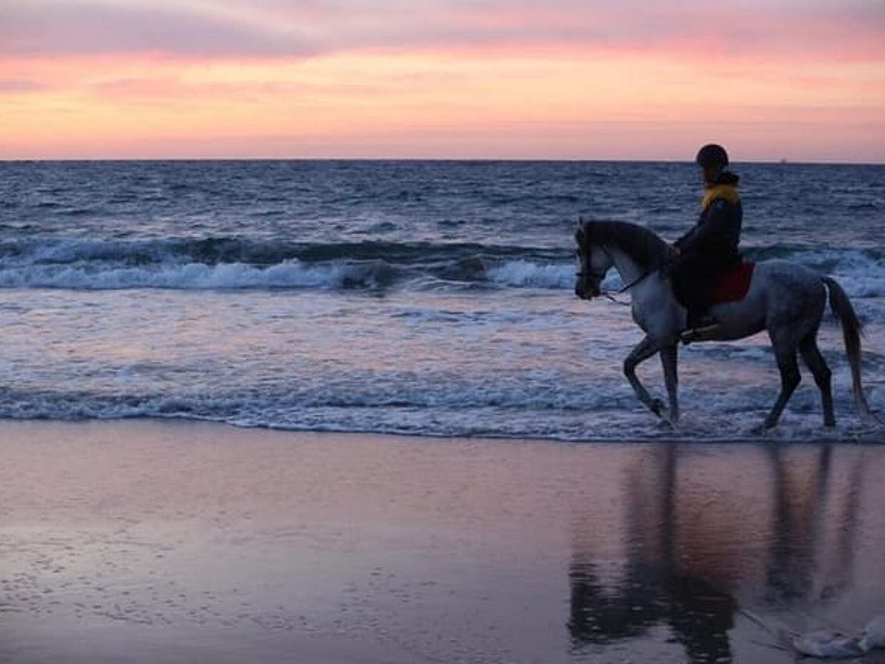 Tangier Mountain and Sea Horseback Riding Adventure in Morocco, photo 4