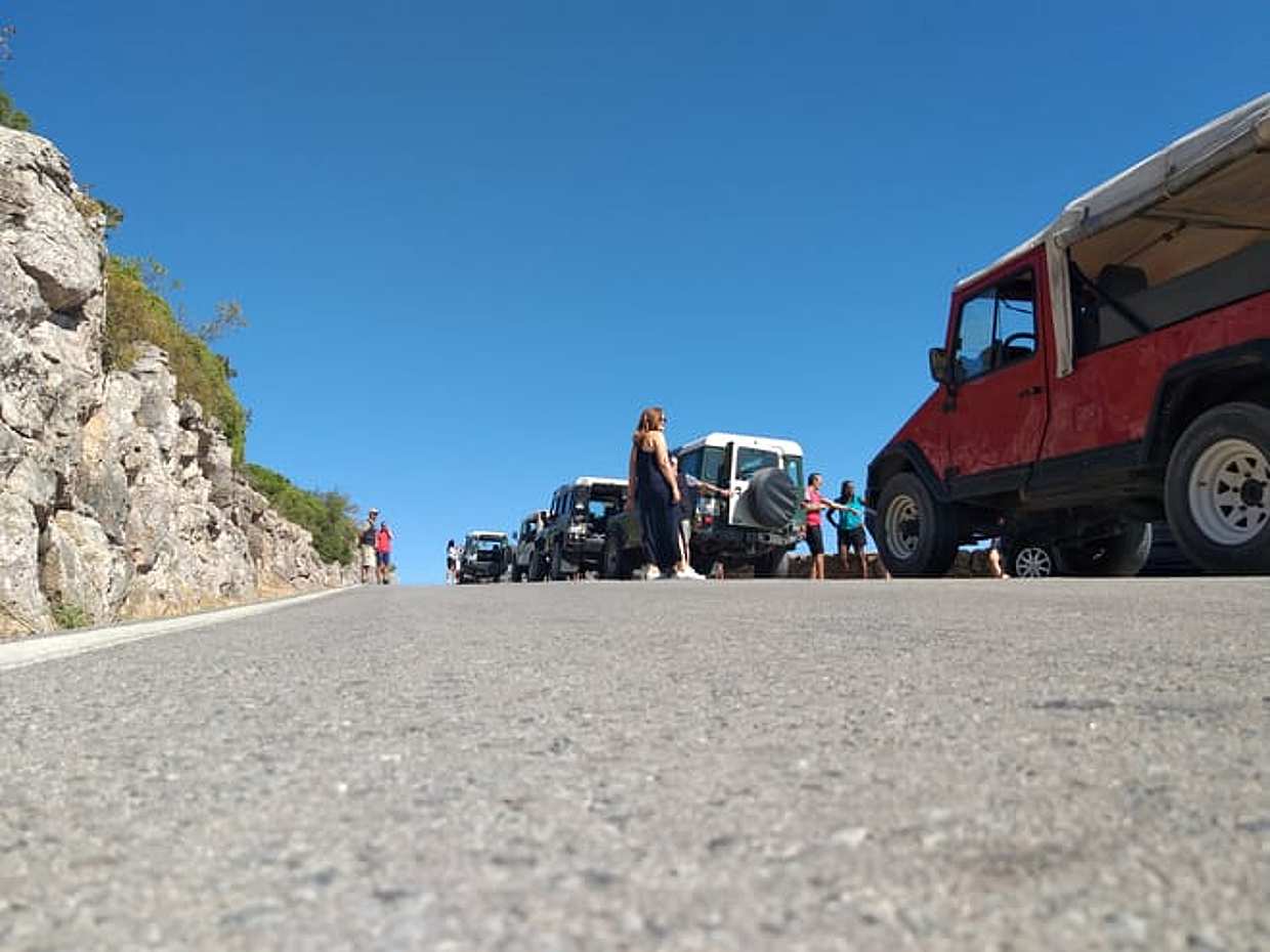 Dolphin Jeep Tour, photo 4