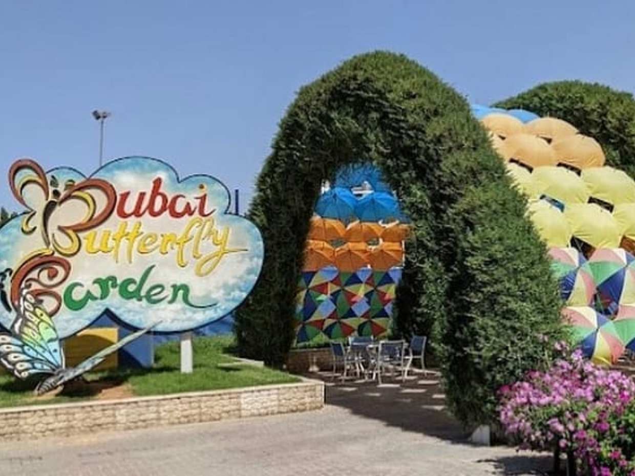 Εισιτήριο Εισόδου στο Dubai Butterfly Garden, Ηνωμένα Αραβικά Εμιράτα