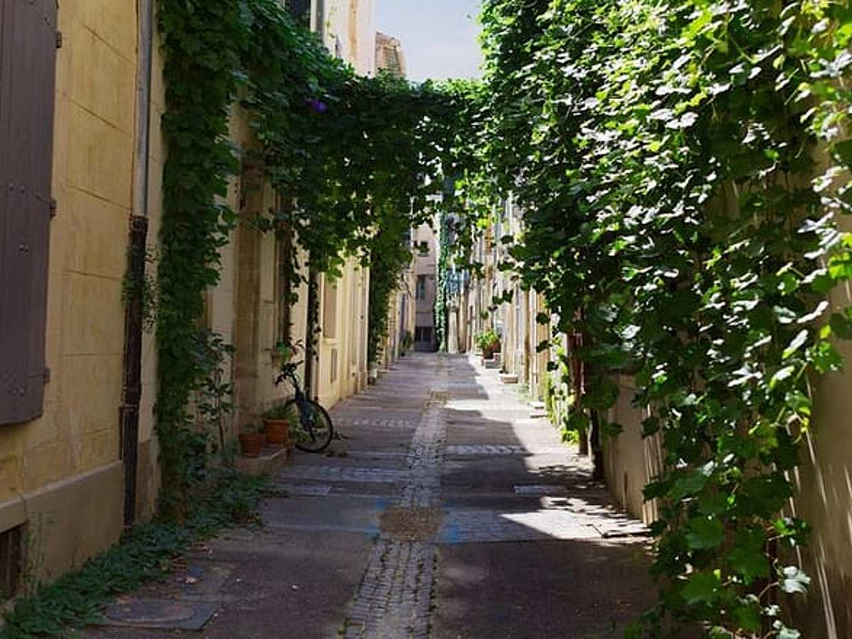 Arles Private Historic Walking Tour, photo 5