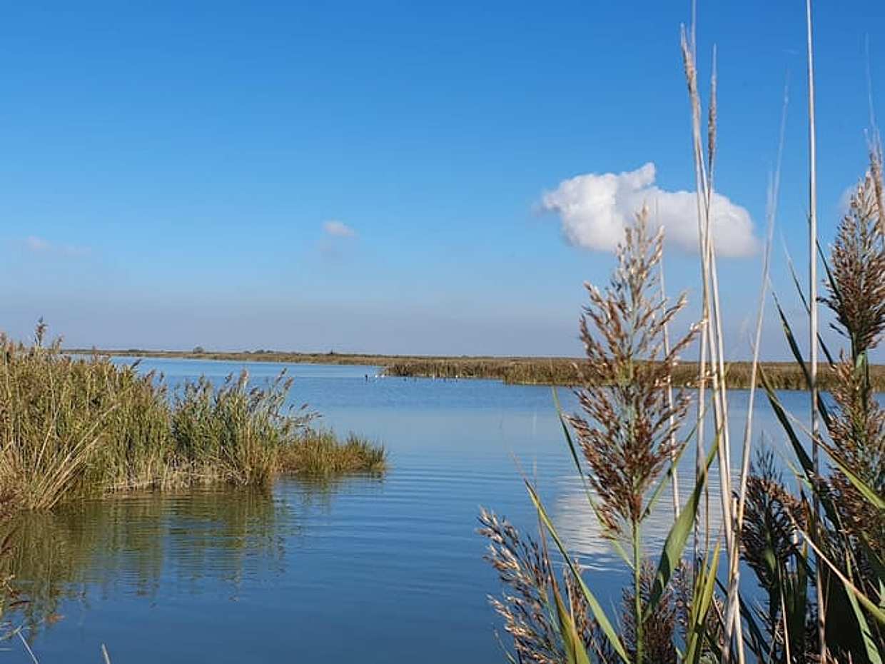 Po Delta Sunset Boat Tour: Explore Isola dell’Amore & Nature with aperitif