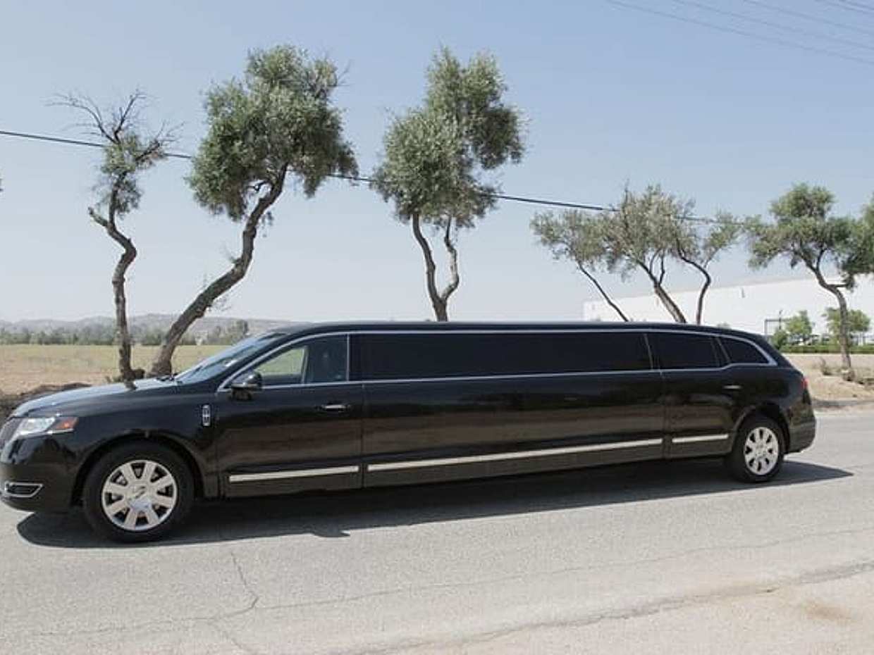 Two hours Private Limo rental with chauffeur in Dubai in United Arab Emirates, Sharjah, photo 4