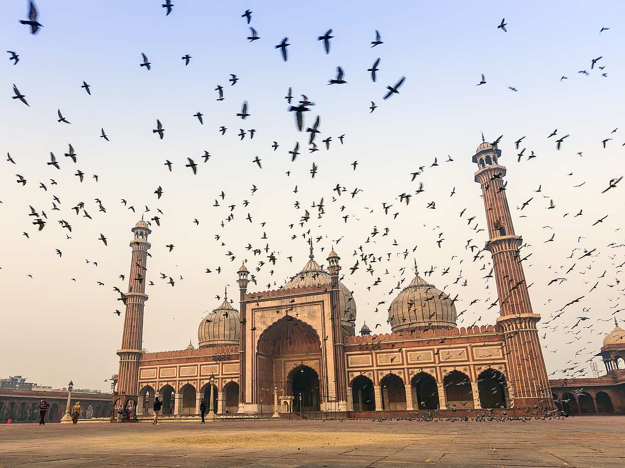 6-day Golden Triangle Tour