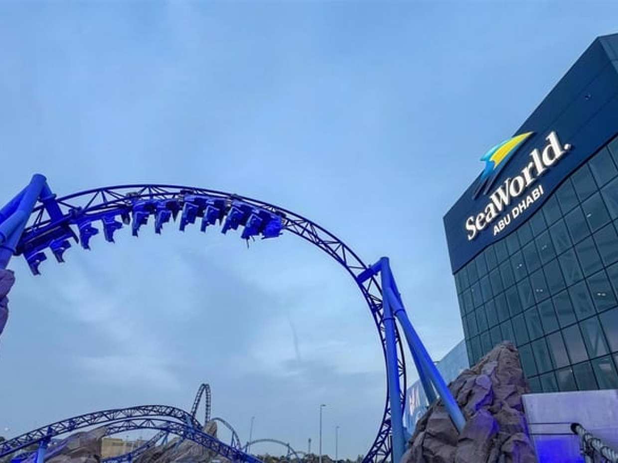 Sea World Theme Park Ticket, photo 3