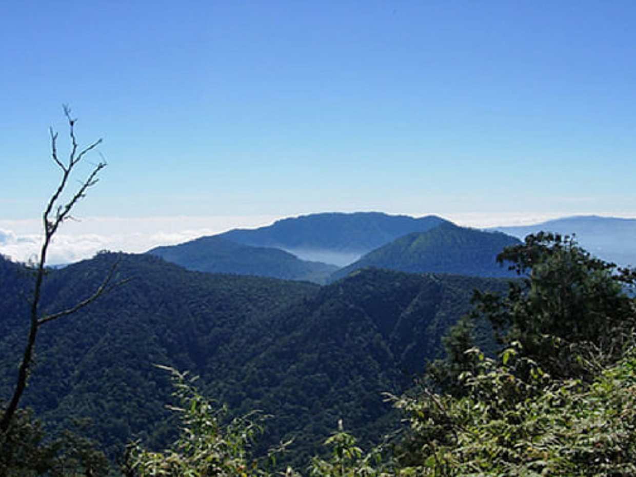 Hike Through the Tropical Forests of Mount Batukaru in Bali, Indonesia, photo 2