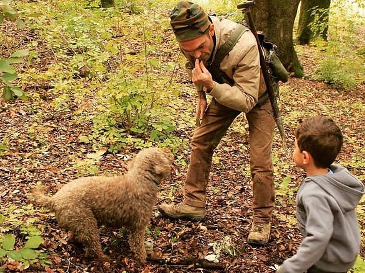 Truffle Hunting and Amarone wine tasting, photo 3