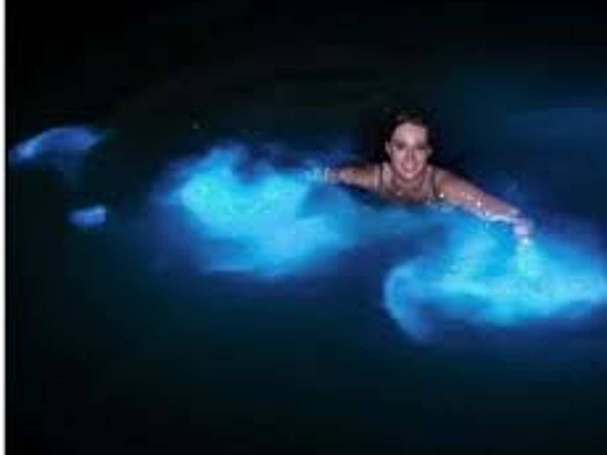<p>Ιδιωτική εκδρομή στη Φωτεινή Λιμνοθάλασσα, Τζαμάικα</p>, photo 3