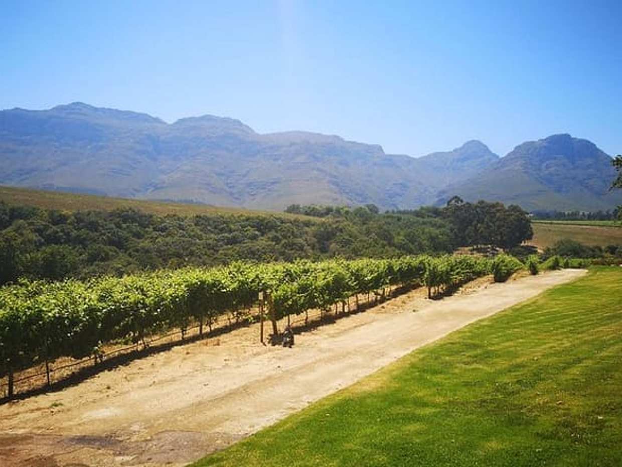 Private Cape Winelands Tour from Cape Town, photo 4