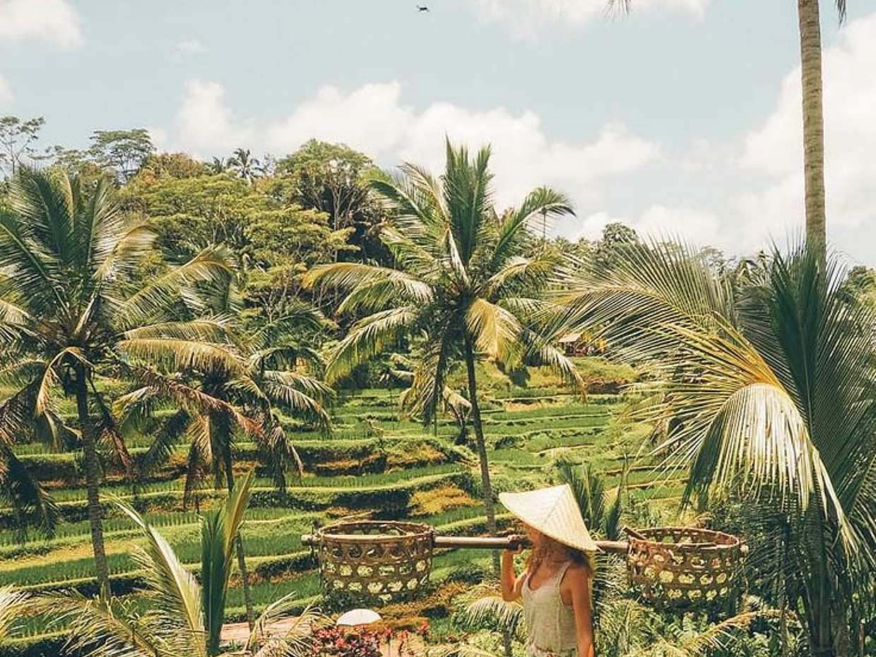 Jungle Swing ile Ubud Önemli Noktalar Turu