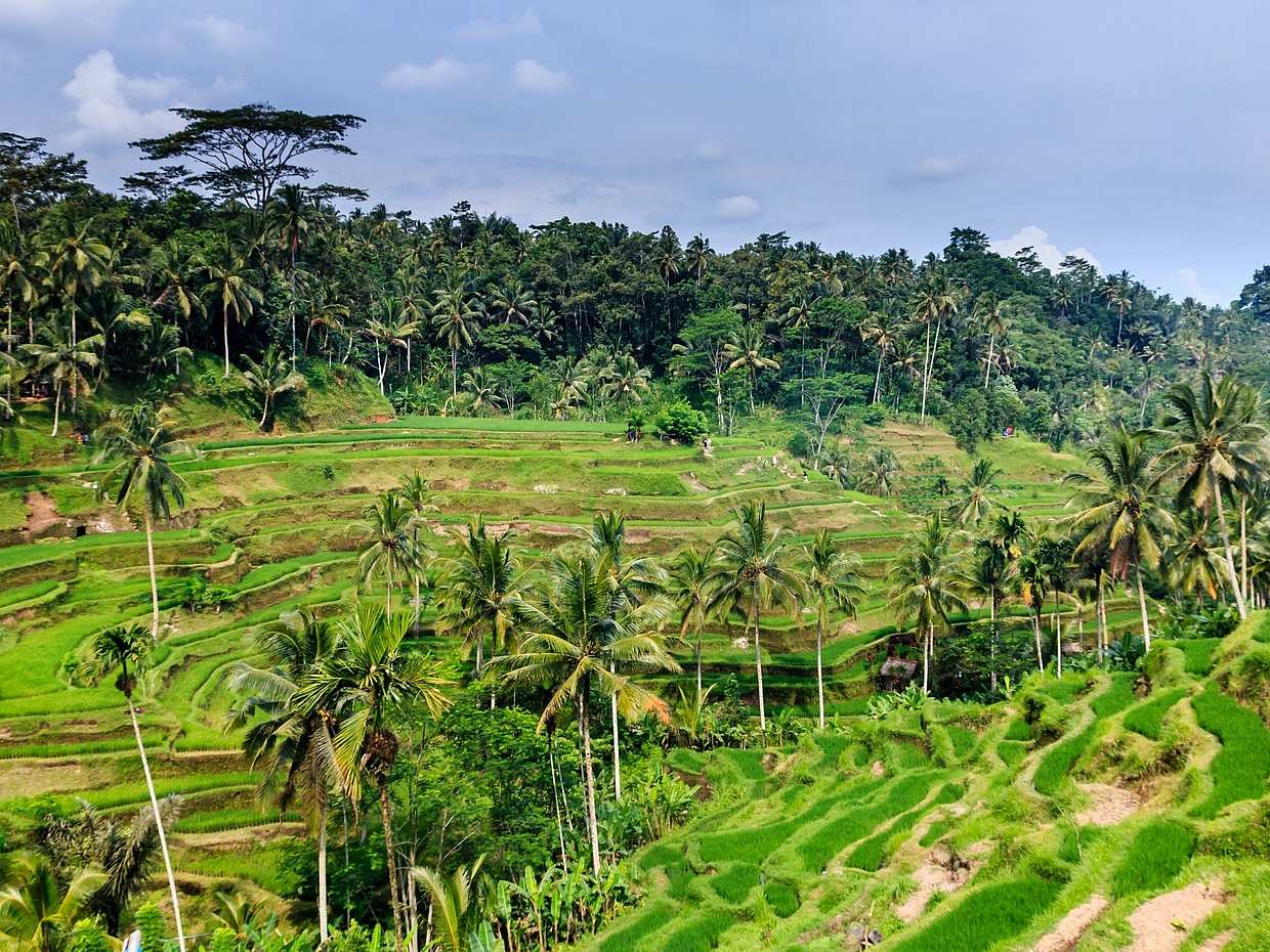 Off the Beaten Track with VW Safari in Bali, Indonesia, photo 4
