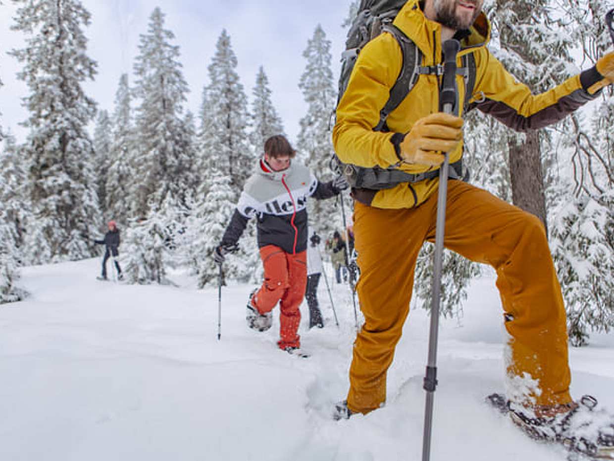 Private Snowshoe in Winter Wonderland Tour in Norway, Oslo