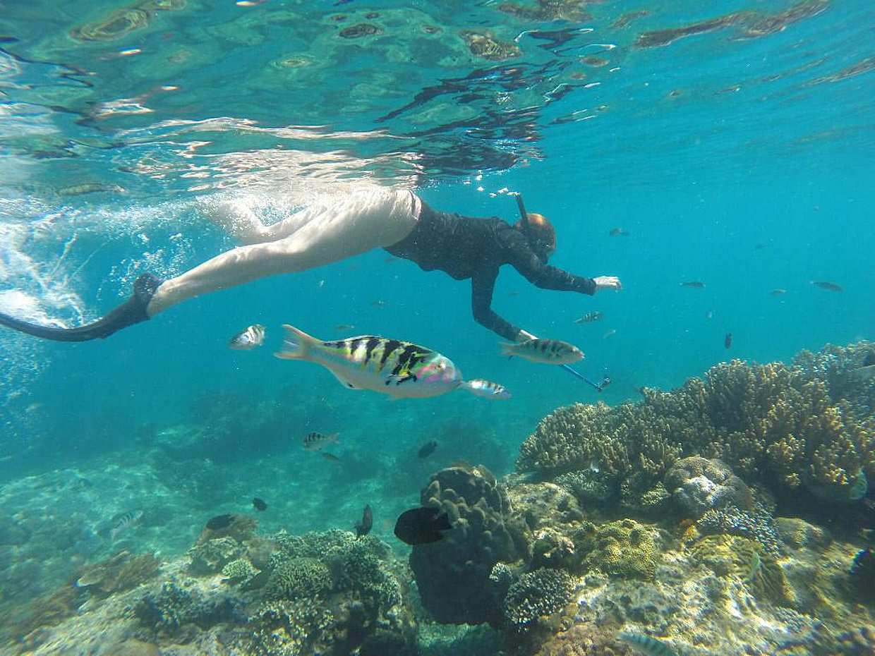 Bali: All Inclusive Snorkeling in Blue Lagoon in Indonesia, Blue Lagoon Snorkeling, photo 5