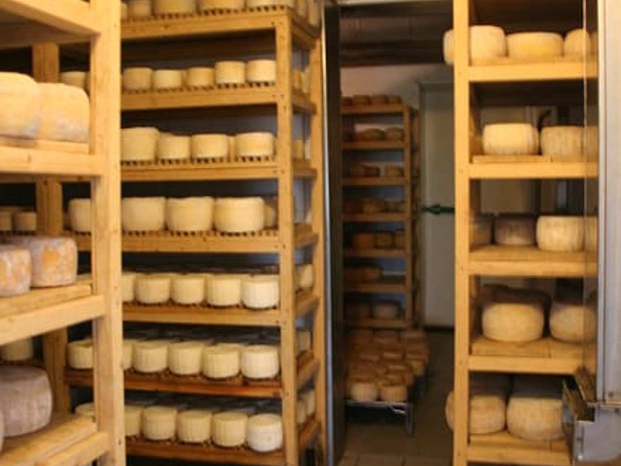 White gold from milk - visit to a typical Santa Caterina cheese dairy, photo 3