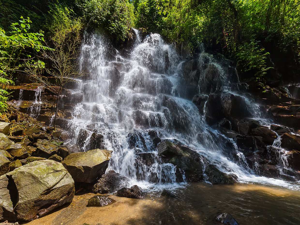 Tour privato delle cascate di Ubud, photo 5