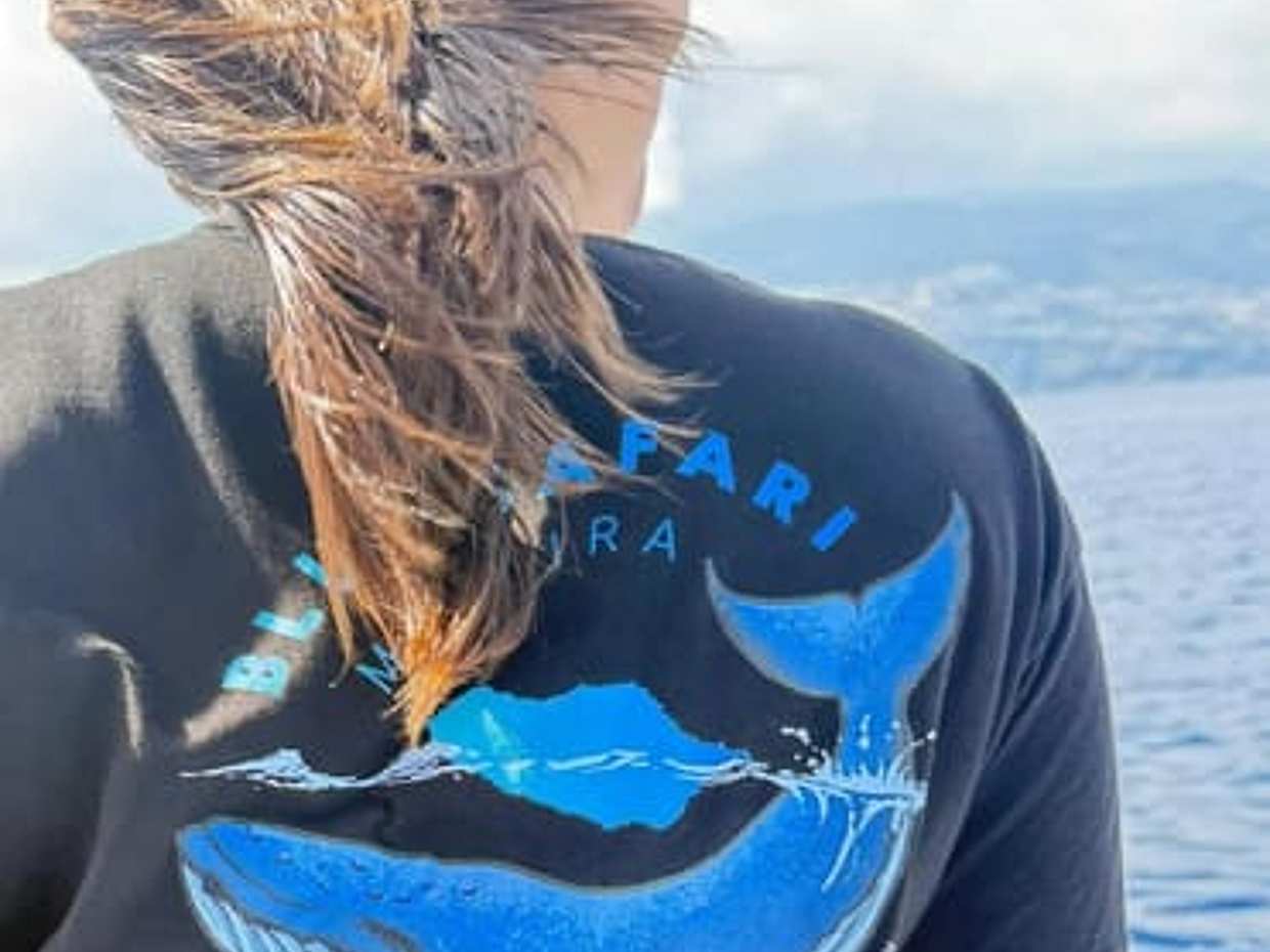 "Excursión Responsable de Avistamiento de Ballenas y Delfines - Funchal en Portugal", photo 5