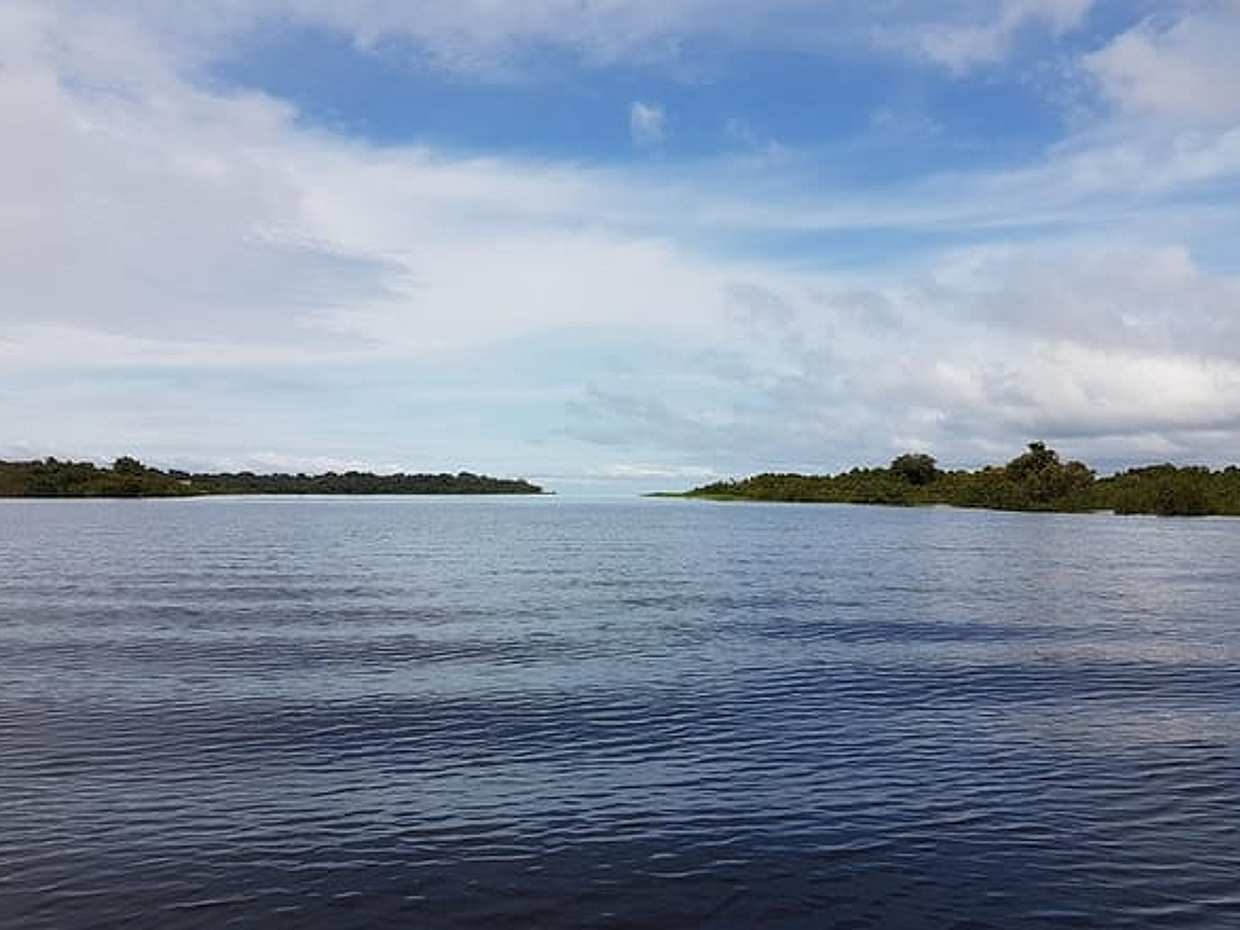 Good Morning Amazon - 1 Night at the Jungle, photo 3