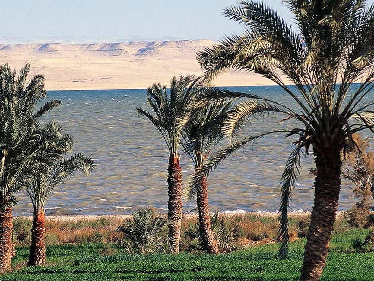 Discover the Wonderful Oasis of Faiyum in Egypt, Cairo, photo 5