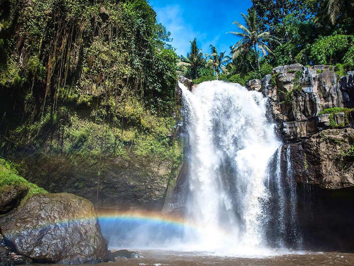 Bali Waterfalls Tour, Indonesia, photo 3