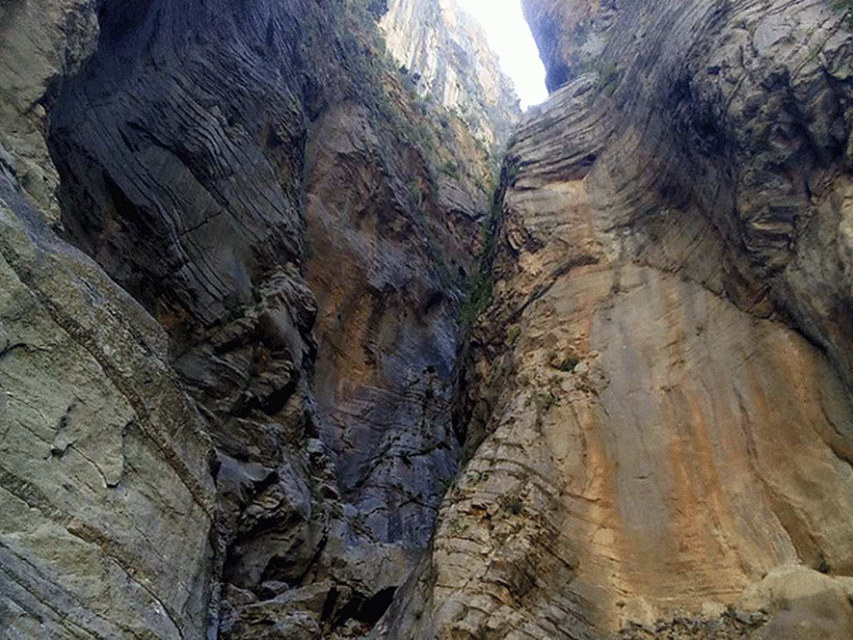Samaria Gorge Hiking Tour from Heraklion, photo 3