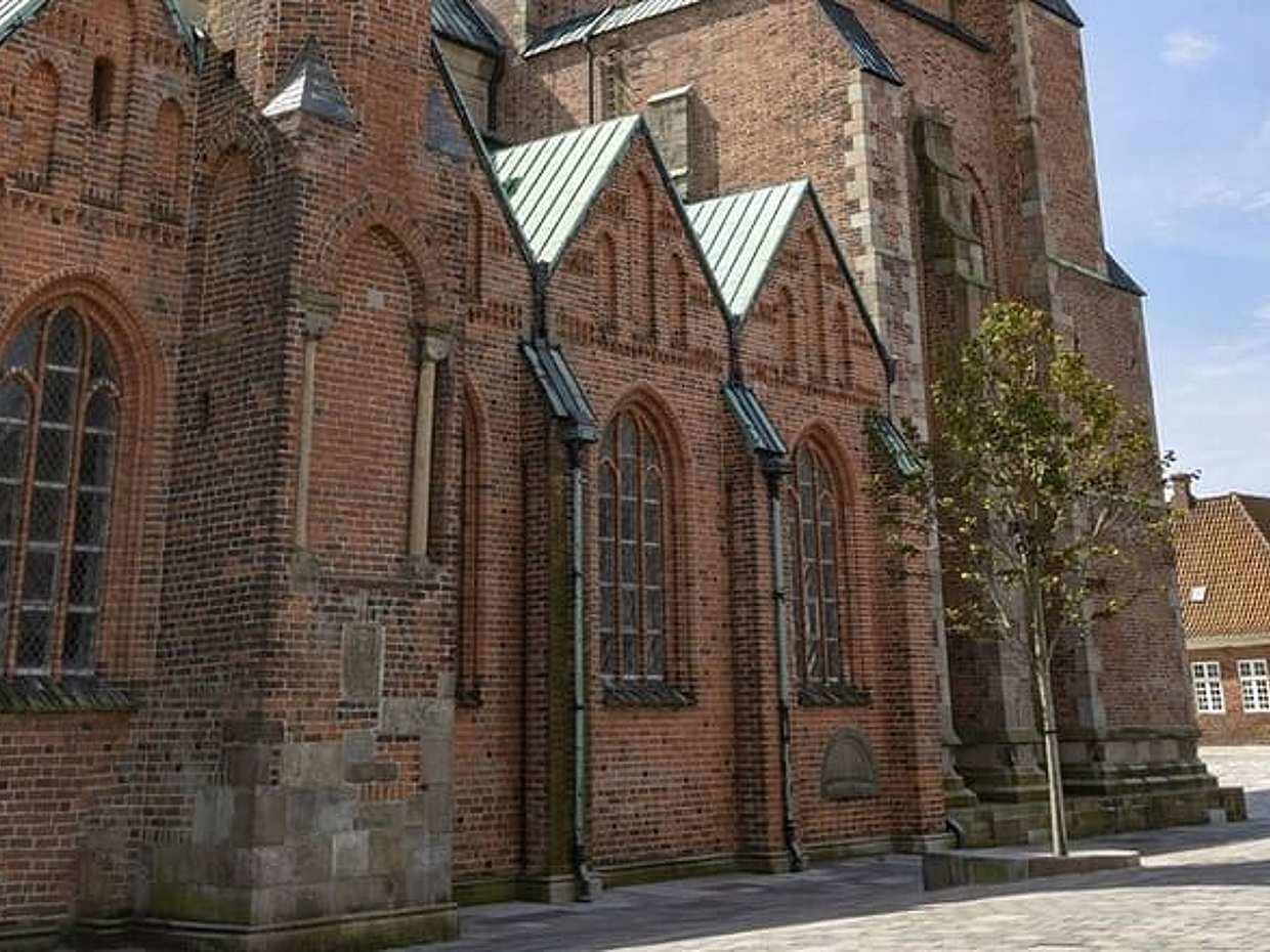 "Kopenhag'dan Ribe'ye Özel Transfer (Danimarka)"