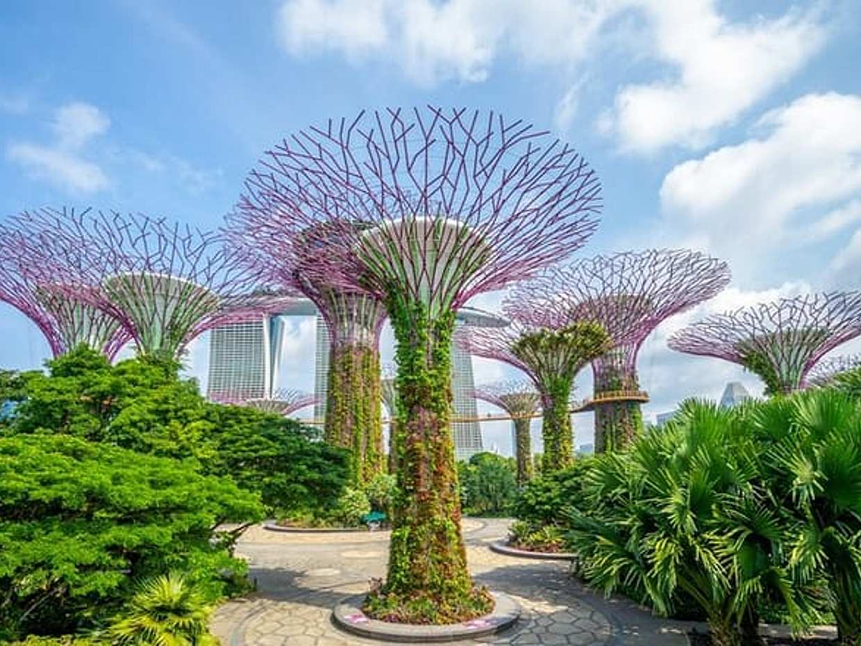 Singapur Recorrido a Pie: Juego de Ciudad Autoguiado