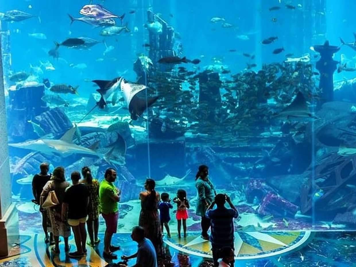 Admission to Lost Chamber Aquarium in United Arab Emirates, Sharjah, photo 4