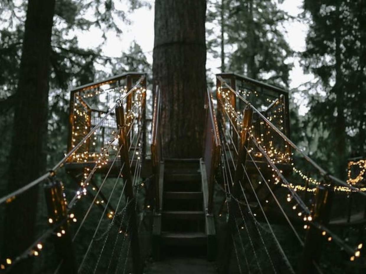 Vancouver Capilano Canyon light and peak of Christmas in Grouse mountain, photo 4