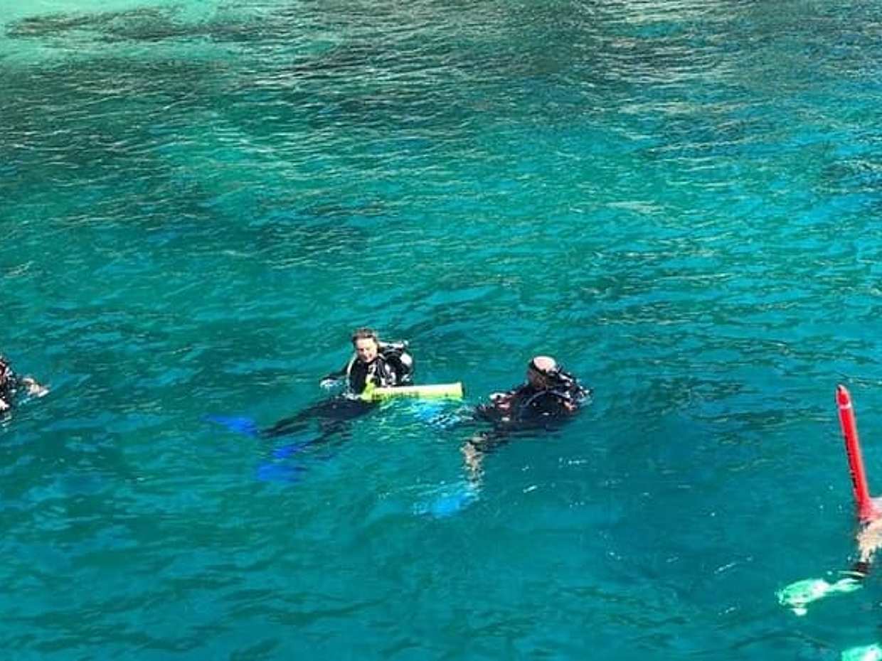 Şnorkelle Dalış Turu Vietnam, Hoi An'daki Cham Adası'nda sertifikalı dalgıçlar veya yeni başlayanlar için., photo 2