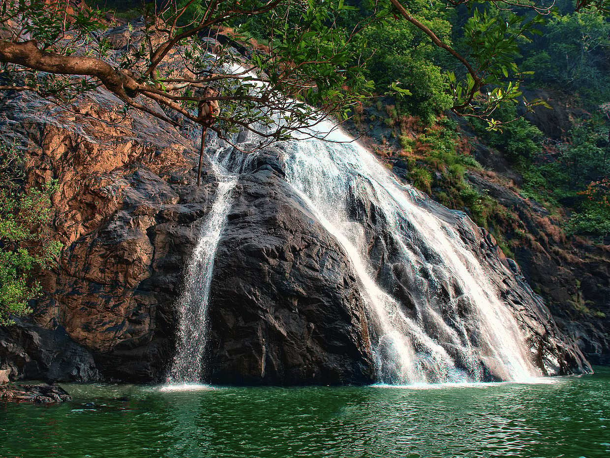 ทัวร์น้ำตก Dudhsagar ในอินเดีย, Goa

