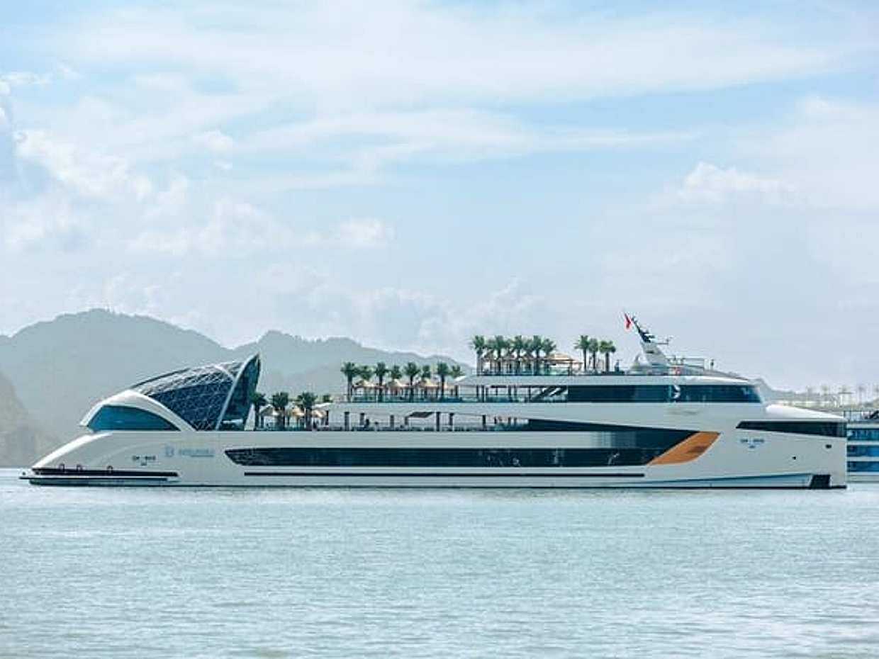 Dolphin Cruise A Floating Mini Resort in Halong Bay Day Cruise