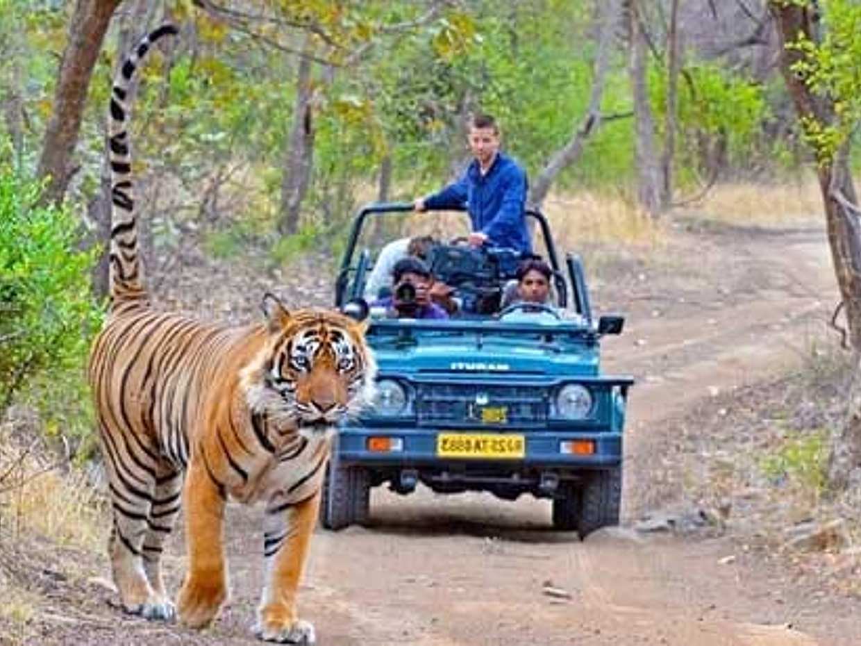 5-Day Agra, Jaipur & Ranthambore Tour