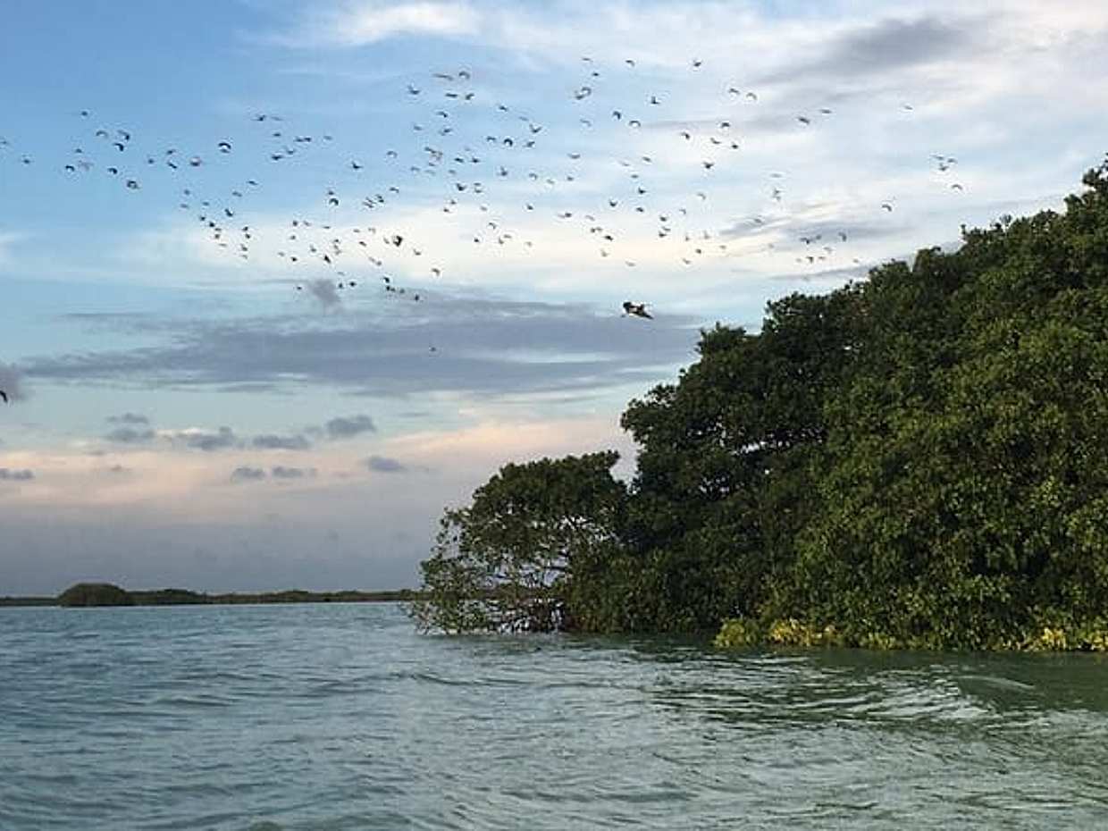 Sian Ka'an Sunset Boat Tour, photo 2
