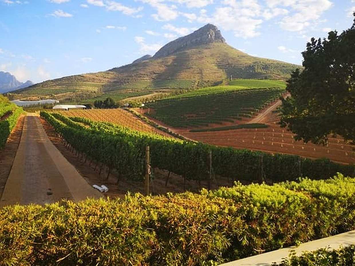 Private Cape Winelands Ful Day Ultra Flexible Guided Tour., photo 2