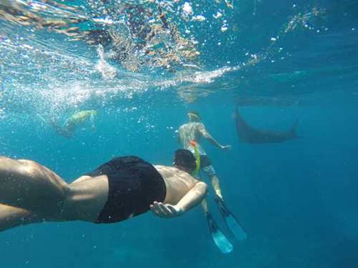 مغامرة الغوص في نوسا بينيدا في إندونيسيا، جزيرة نوسا بينيدا.
, photo 2