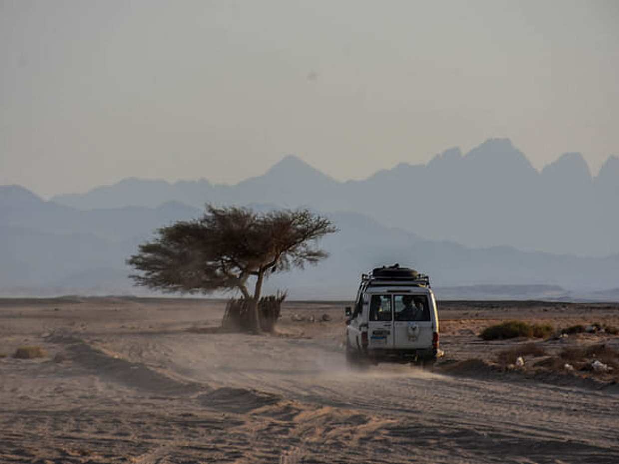 TH Exclusives: Phoenix of the Desert - Authentic Safari in Hurghada, photo 2