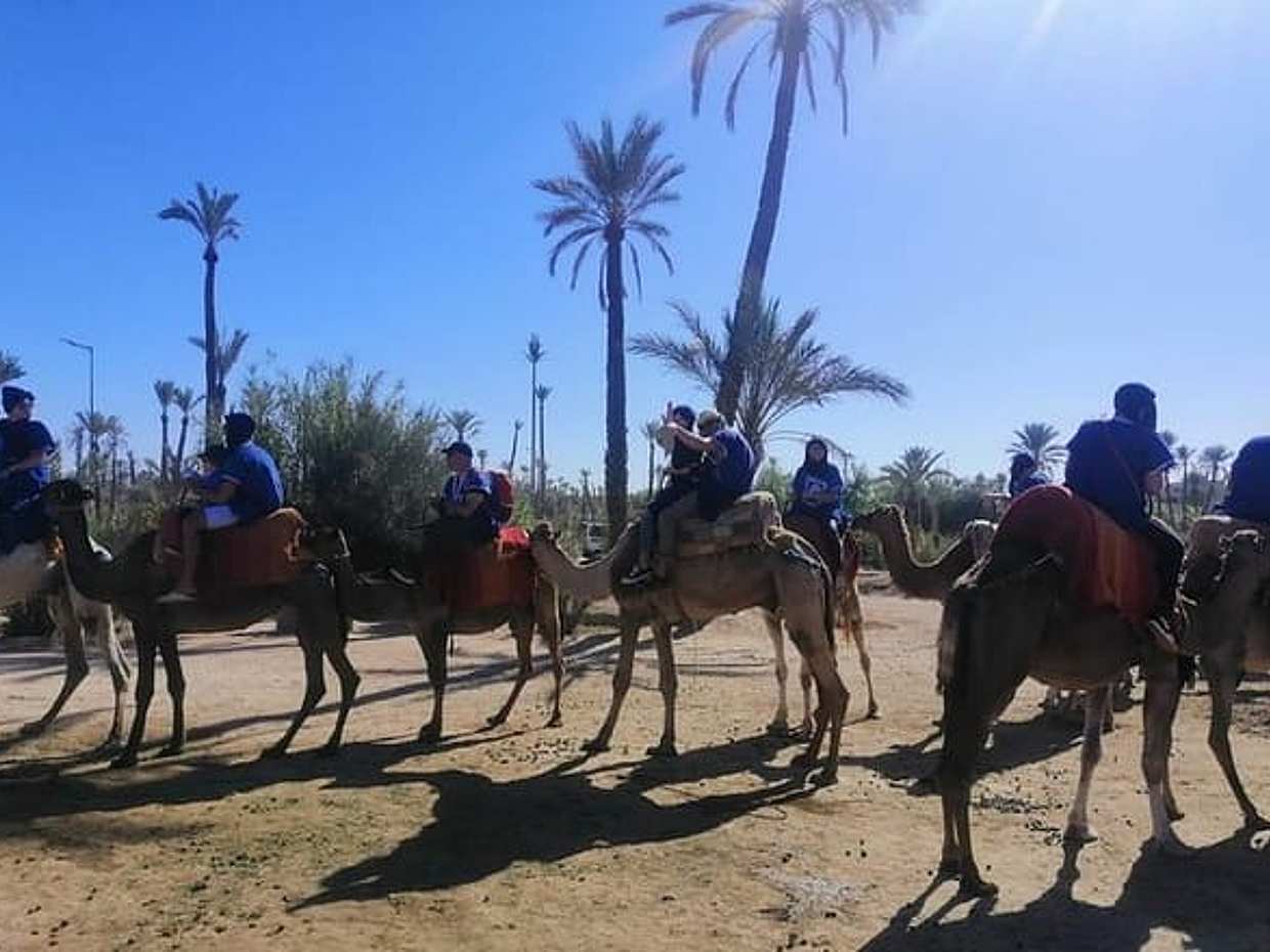 1 Hour Camel Ride in the palm groves of Marrakech