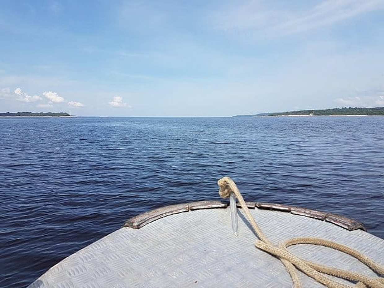 "Excursão de 8 horas pela Selva Amazônica e Arquipélago de Anavilhanas no Brasil, Manaus", photo 3