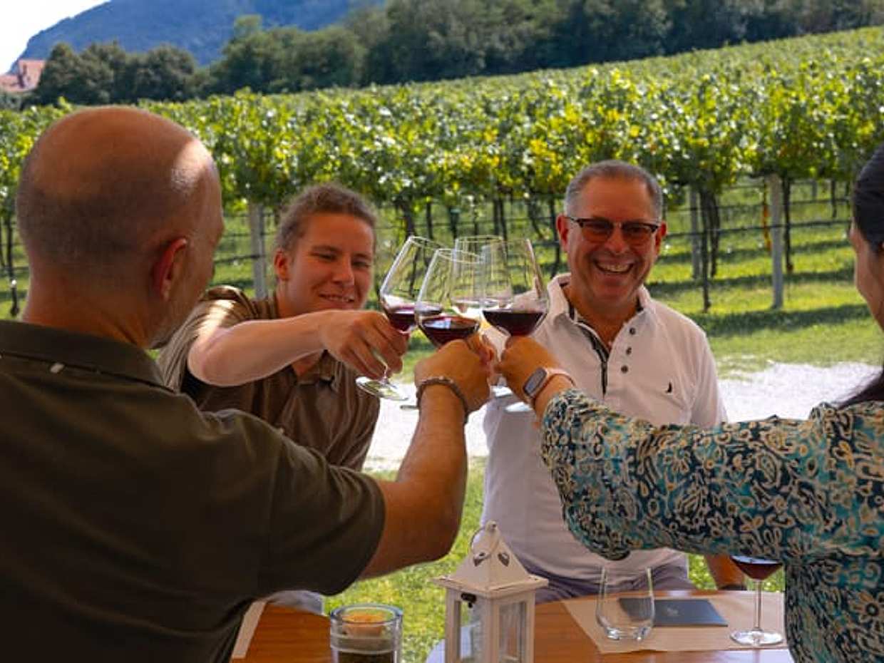 From Padua, Wine tour on the Euganean Hills
