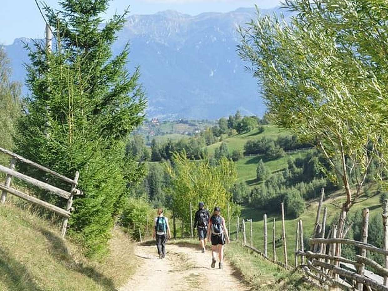 Malá skupinová jednodenní výprava do autentických rumunských horských vesnic z Brašova, Brašov, photo 2