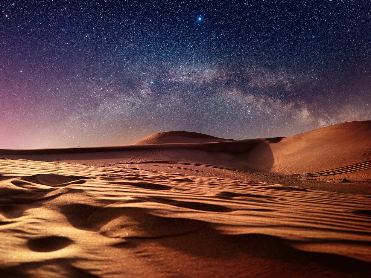 Private Liwa Übernacht-Safari in den Vereinigten Arabischen Emiraten, Abu Dhabi
