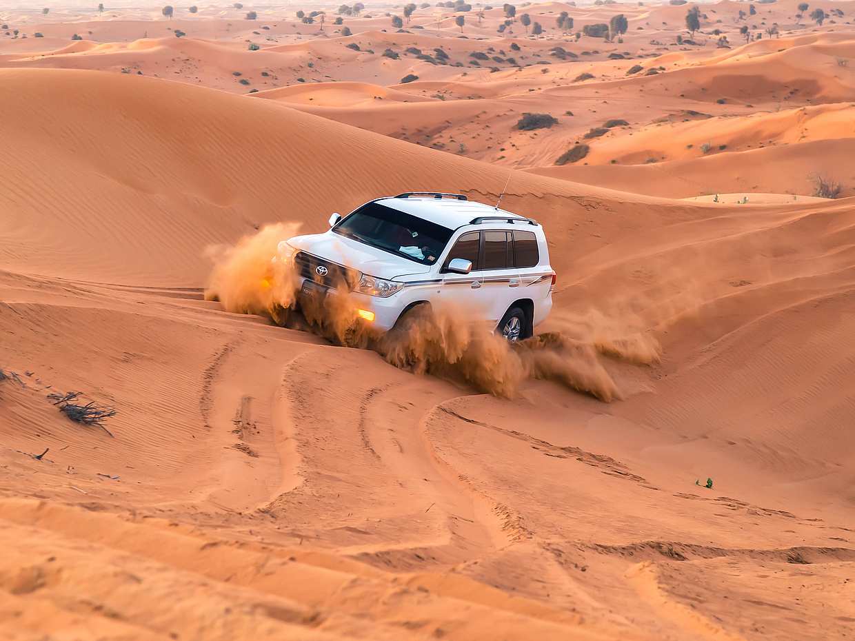 Safari matinal por el desierto con Sandboarding y paseo en camello