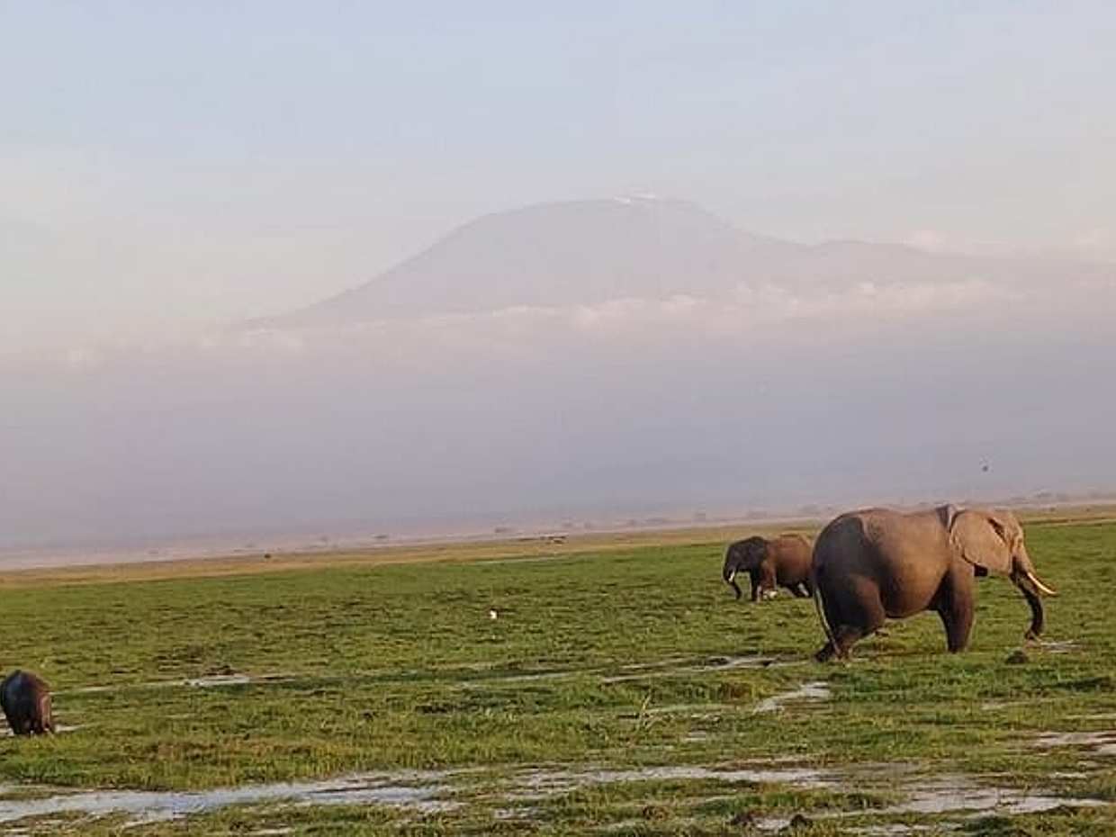 Two Days Guided Amboseli Tour in Kenya, Nairobi, photo 2
