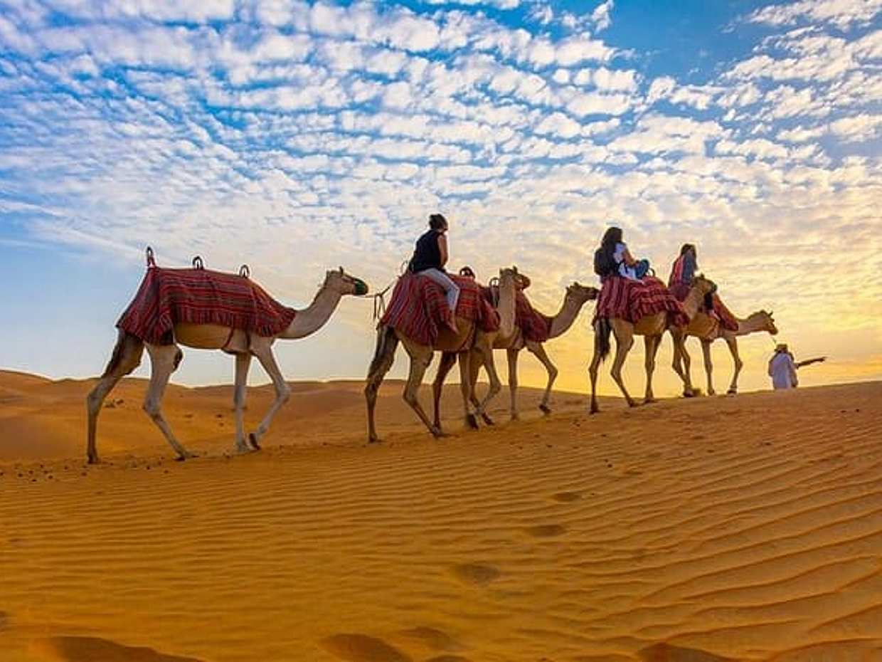 Dubai Premium Desert Safari, photo 4